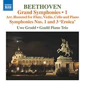 Beethoven - Symphonies Nos. 1 & 3 (Grodd)