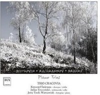 Beethoven, Rachmaninov, Brahms - Piano Trios