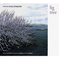 Strączek - Fig Tree