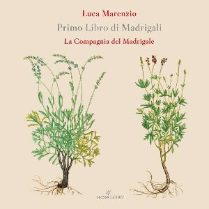 Marenzio - Primo Libro di Madrigali a cinque voci