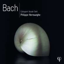 Bach - Works (Herreweghe, 10 CD)