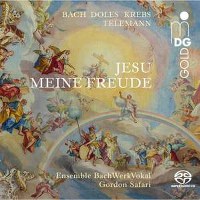 VA - Jesu Meine Freude (Ensemble BachWerkVokal)