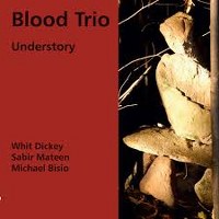 Blood Trio - Understory