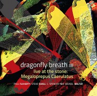 Dragonfly Breath III - Live at the Stone.