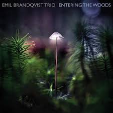 Brandqvist Emil Trio - Entering The Woods